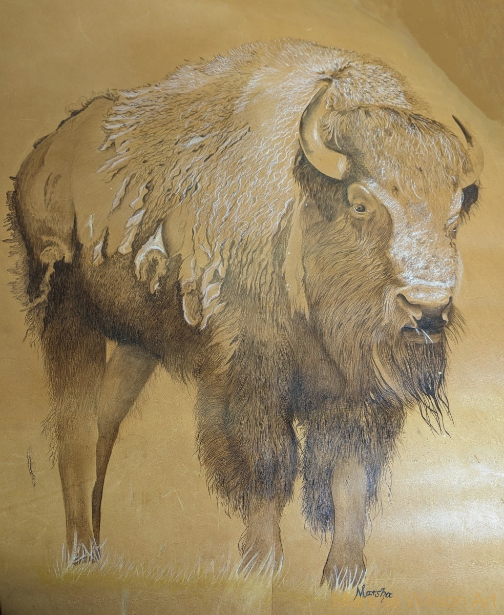 Buffalo-on-buffalo
